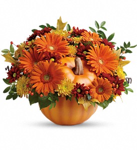 Country Pumpkin