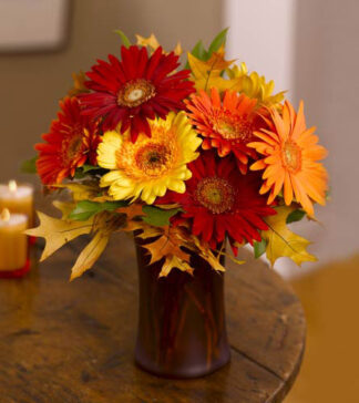 Autumn Gerberas