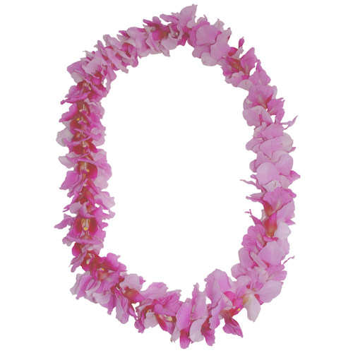 Singe Vanda Lei