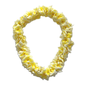 plumeria lei