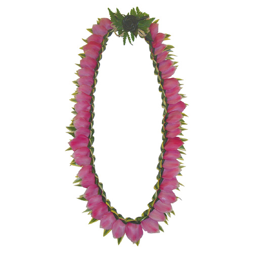 song of india lei