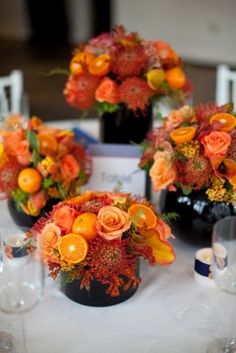 Orange Delight