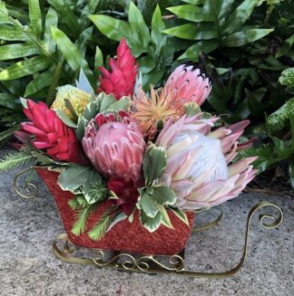 Tropical Sleigh
