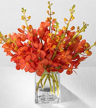 Waukee Exotic Flowers and delivery
